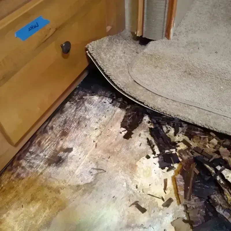 Wood Floor Water Damage in Warsaw, IL